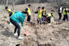 江夏区明熙小学爱润童心系列活动